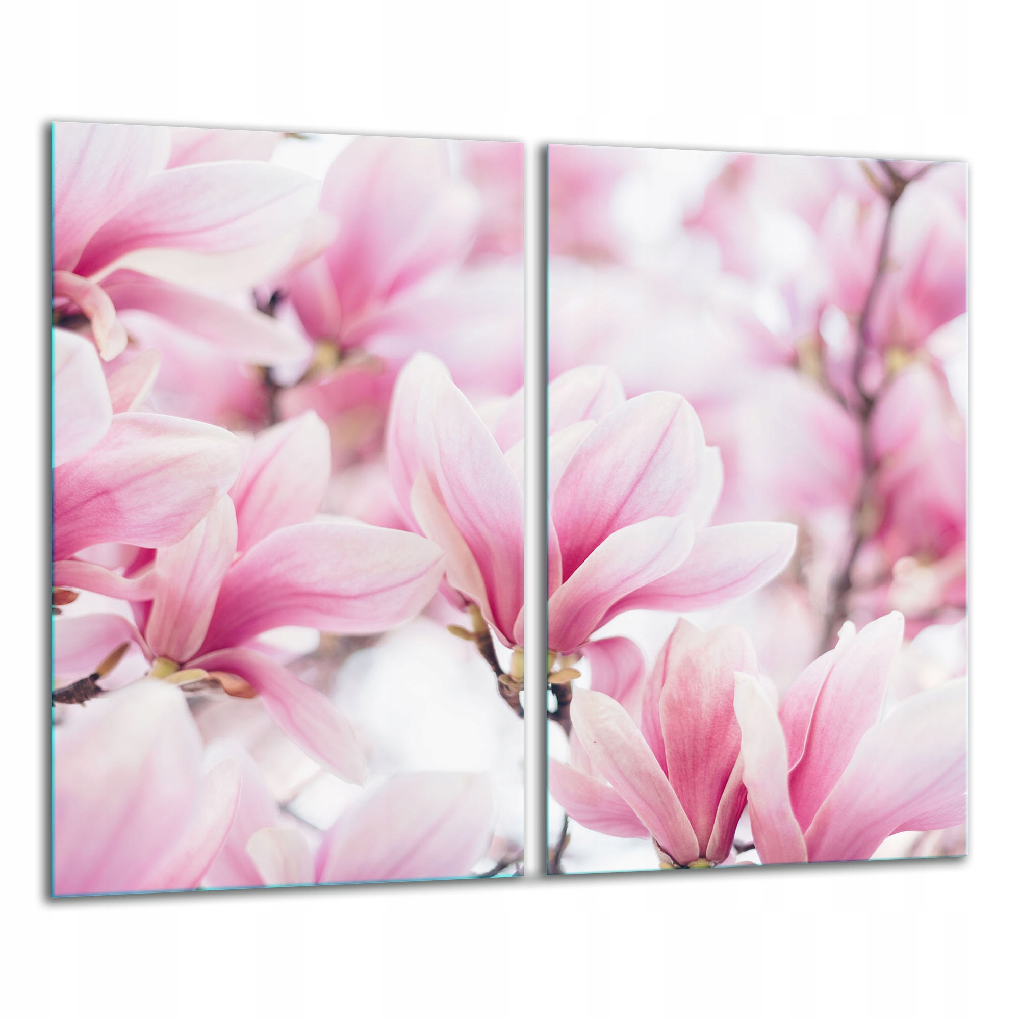 7v1 Skleněná Krájecí Deska 2x 30x52 Květy