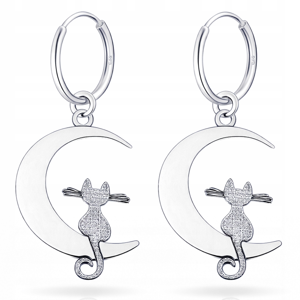 Stříbrné roztomilé náušnice Malé kruhy Kočka na měsíci Stříbro ryzost 925