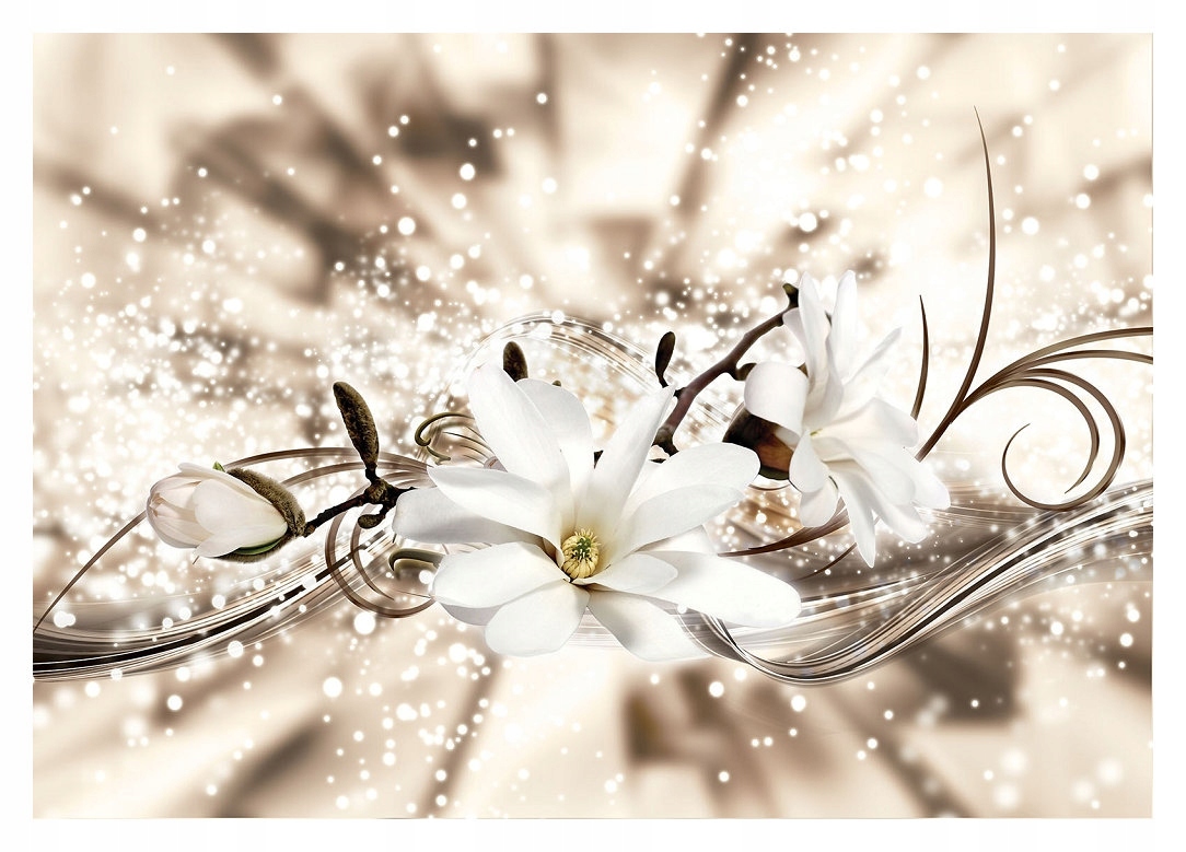 Vliesová fototapeta Biela Magnólia Kvety Bokeh Pozadie 416x254 lepidlo
