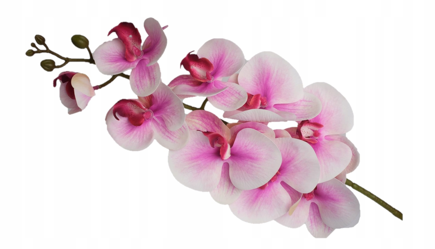 

Storczyk Orchidea Gałązka Jak Żywy Silikonowy