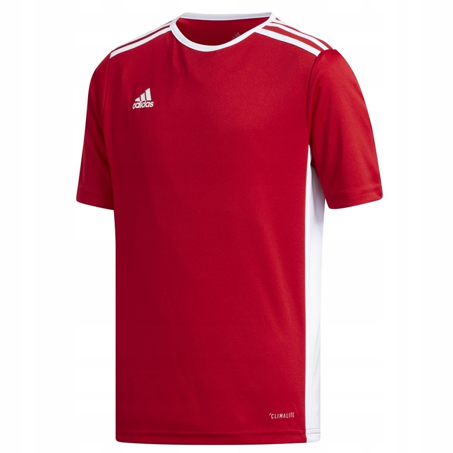 

Adidas Koszulka Męska T-shirt Entrada 18 r. XXL