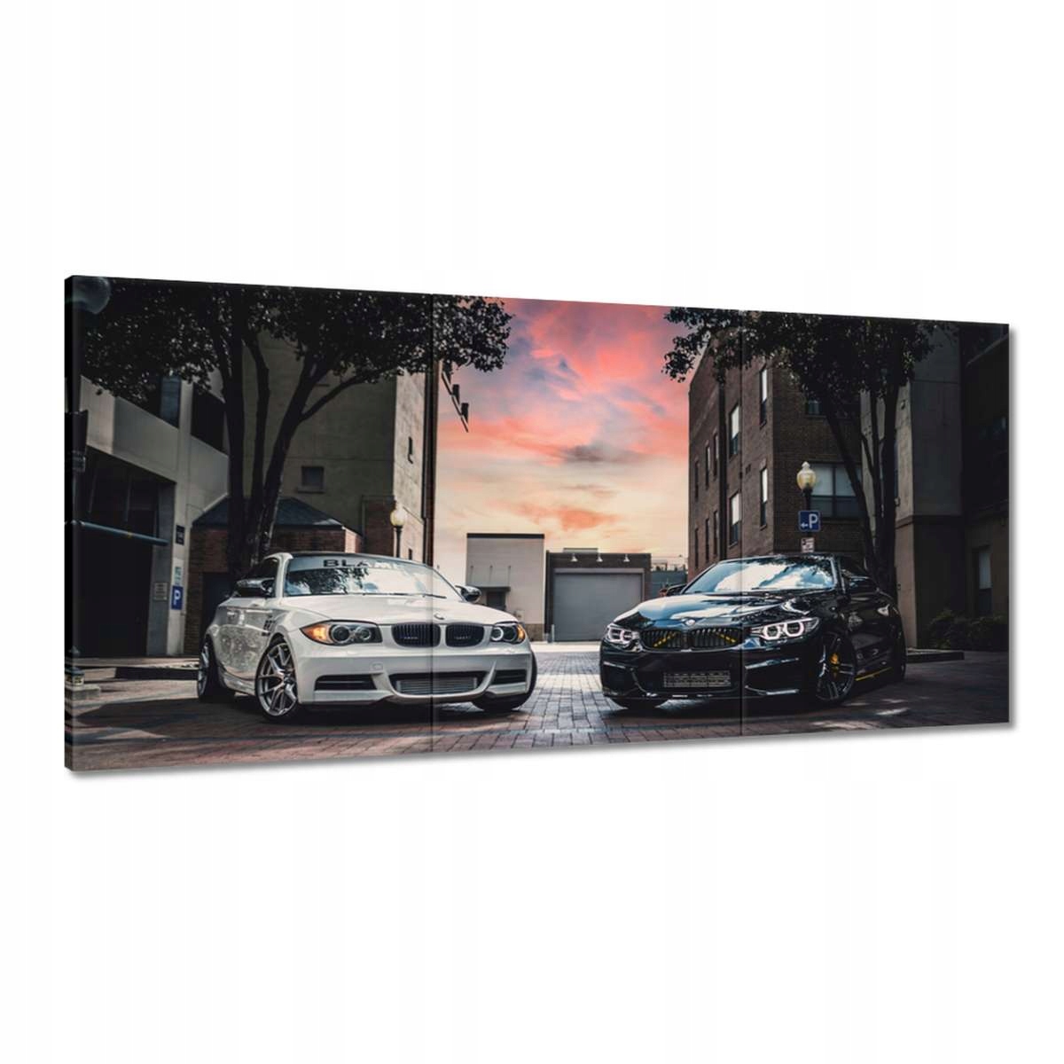 Obrazy 180x90 Čierna a biela sestra 2