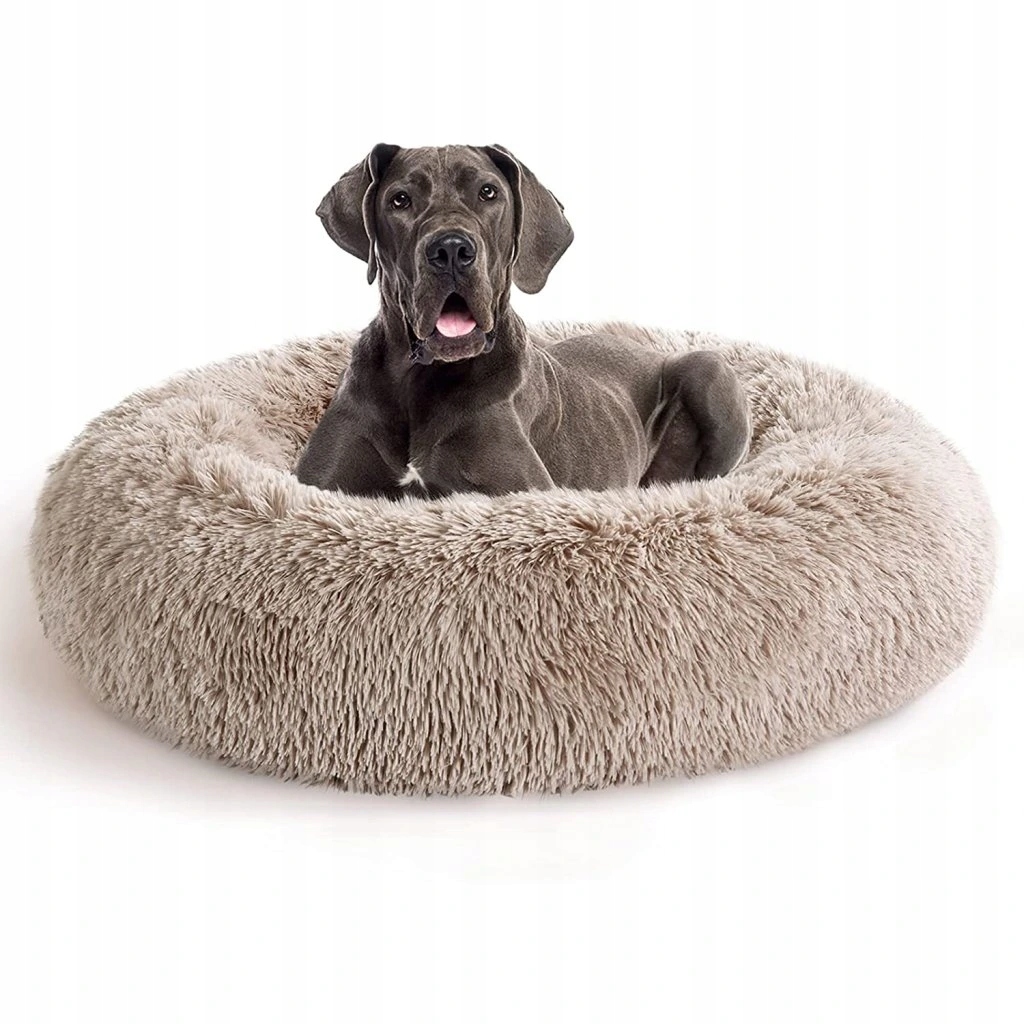 Surtep Animals Pelech Jenny Barva: Champagne, Velikost: XL