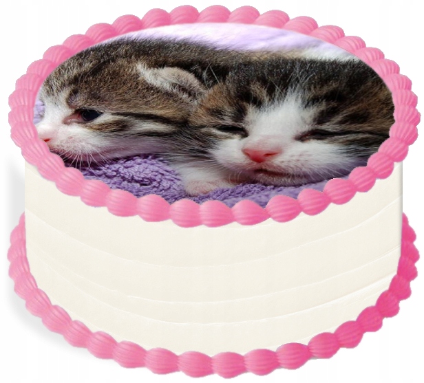 oplatek na dort 29 cm Zvířata Kočka Narozeniny