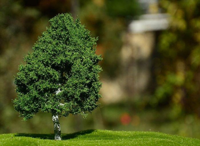 Freon KLON2 Javor , výška 14-16 cm Model Modelářský strom Expert