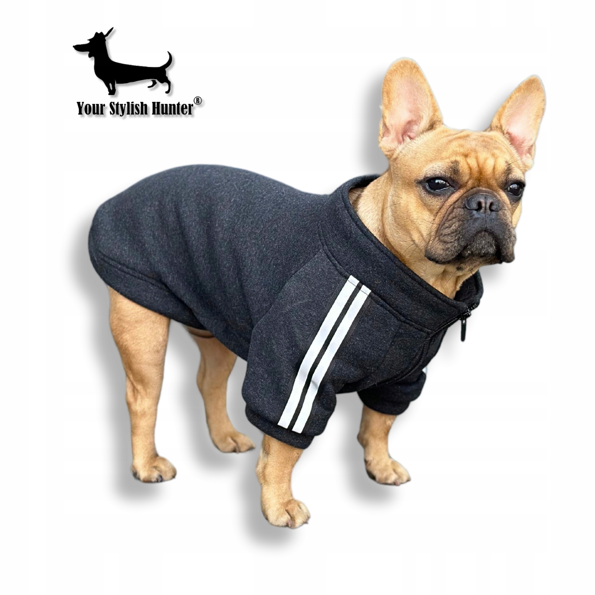 Levně Tepláková mikina oblečení pro psa francouzského buldočka a další S