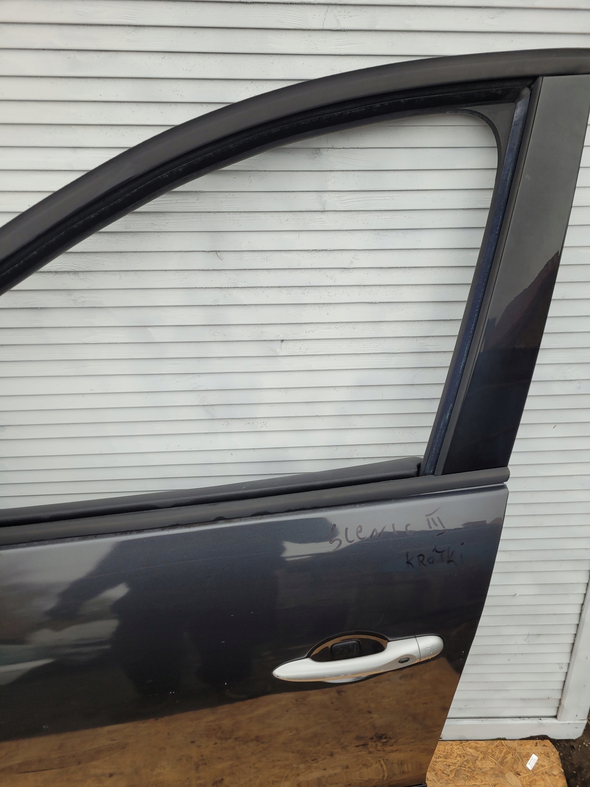 door front front left RENAULT SCENIC III
