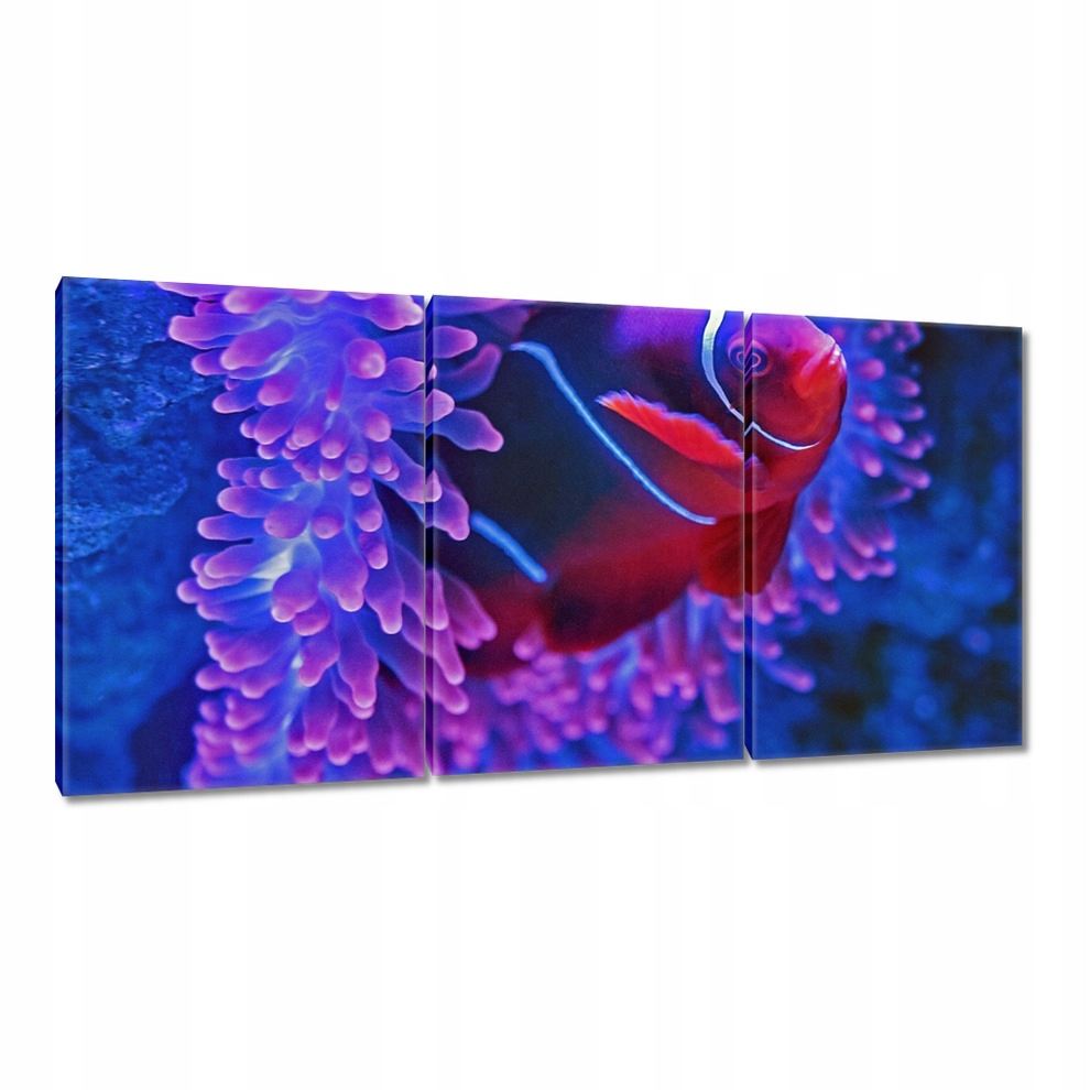 

Obrazy 120x60 Zwierzęta Zwierzątka