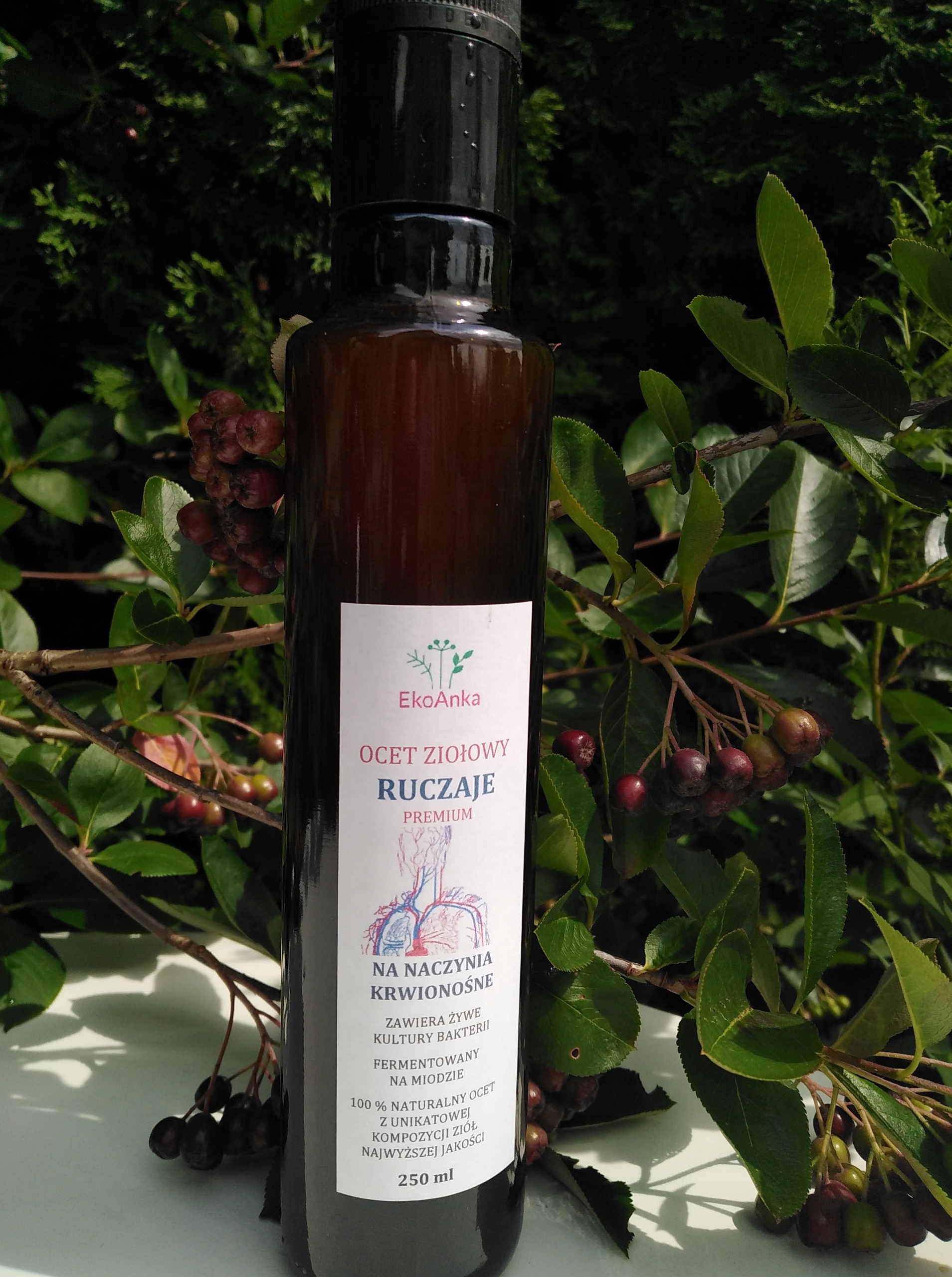 Bylinný ocet „Ručaj“ pro posílení cév (živý, fermentovaný na medu)