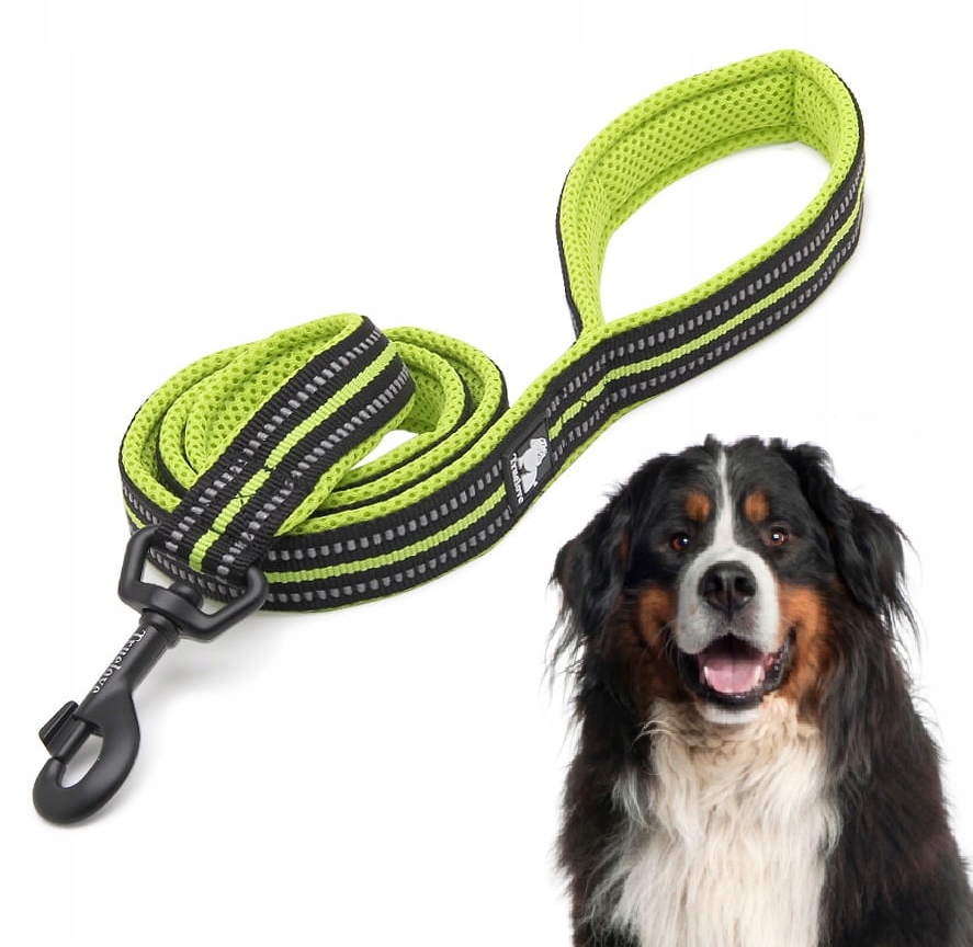 Levně Vodítko Pro Psa Reflexní Silná Truelove Active Limetková 200 CM Velikost L