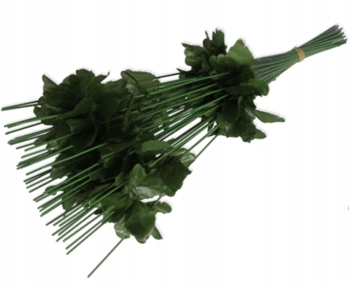 

Łodyga do kwiatów Chryzantema 45 cm 12 sztuk