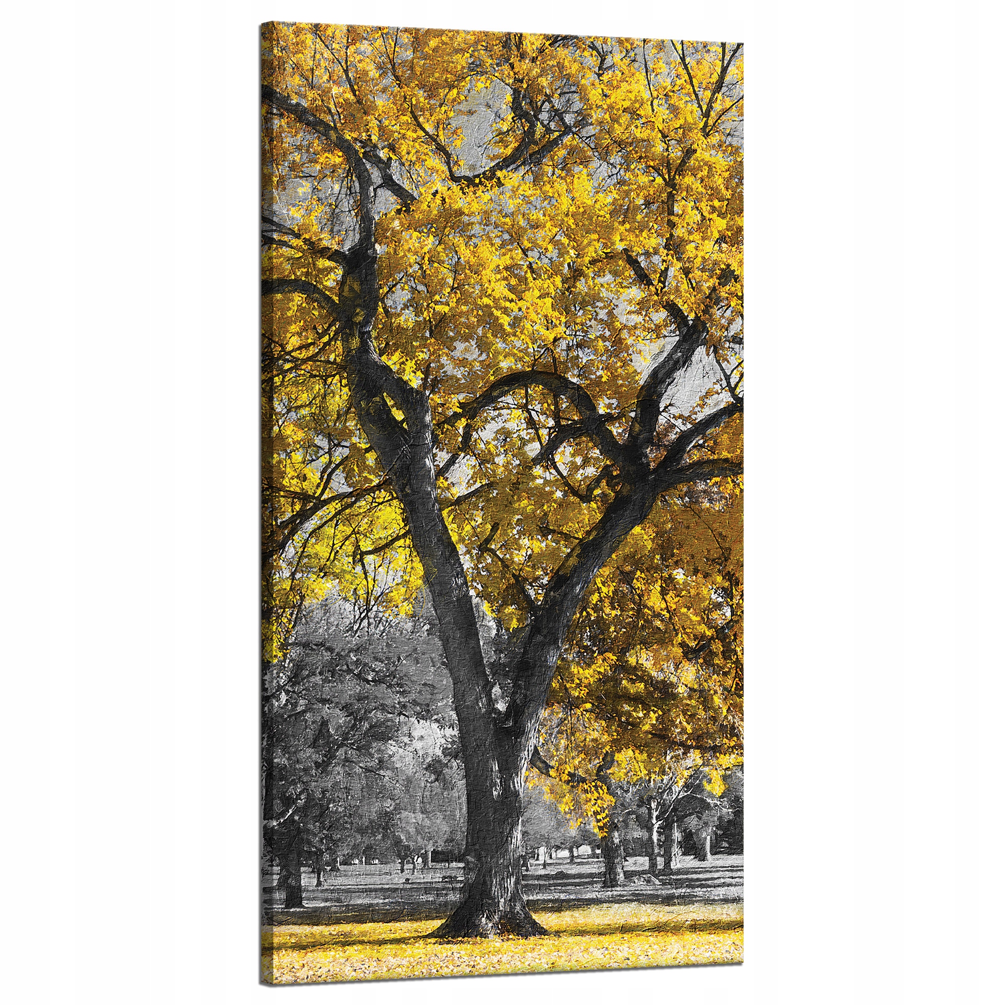 Obraz na plátně Černé stromy Žluté listy 60x120 cm