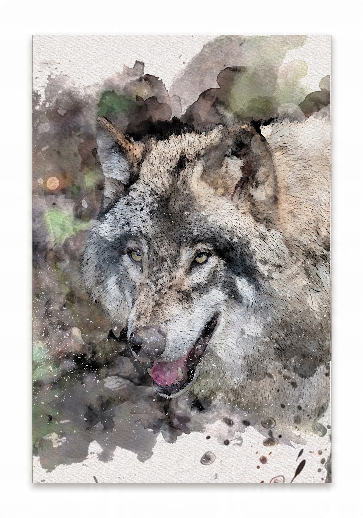 

Plakat Wilk I Las grafika akwarela 30x40 natura
