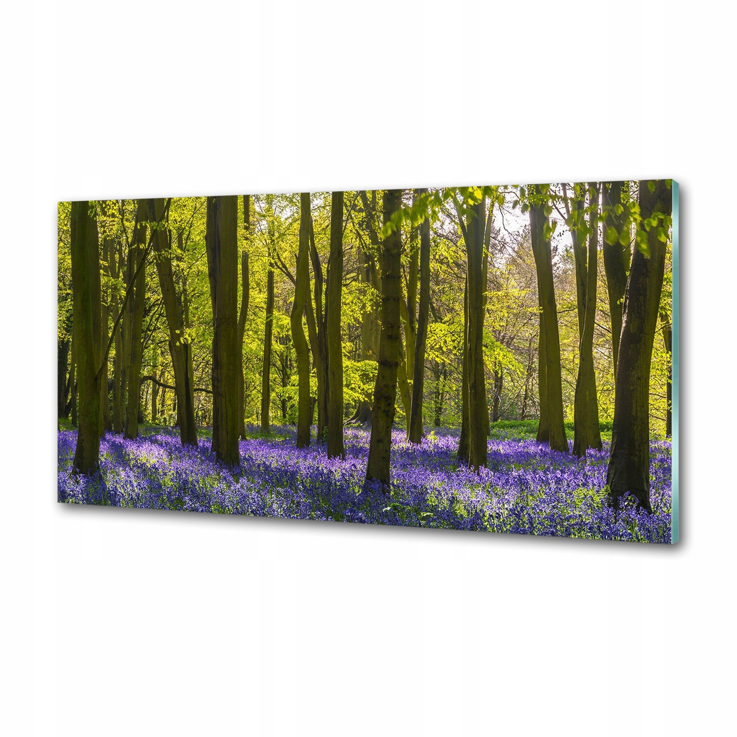 Panel dekor sklo Les na jar 120x60 cm Lepidlo
