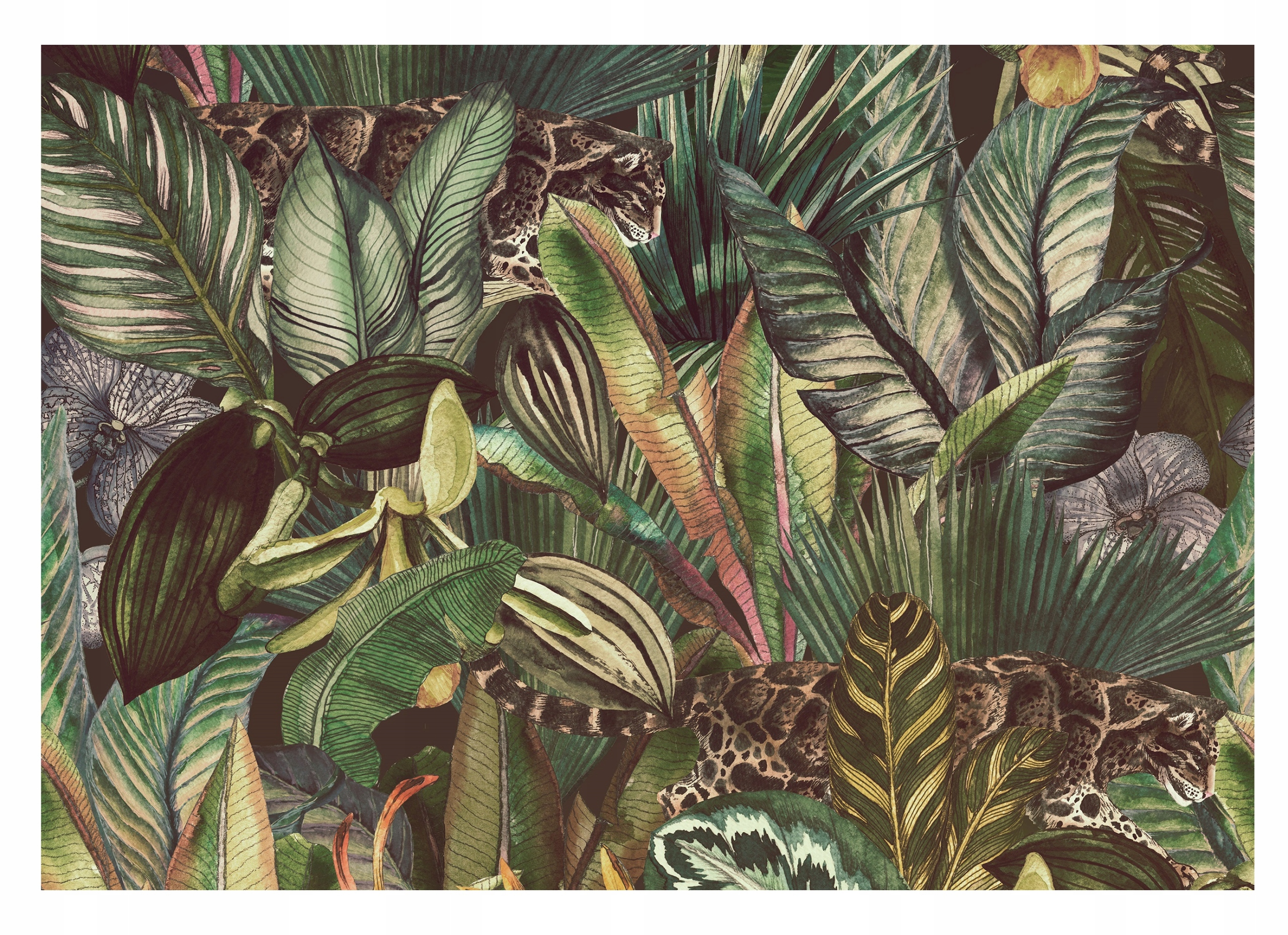 Fototapeta Džungle Listy Příroda Tygr 312x219