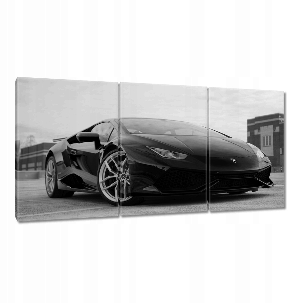 

Obrazy 120x60 Ferrari Black