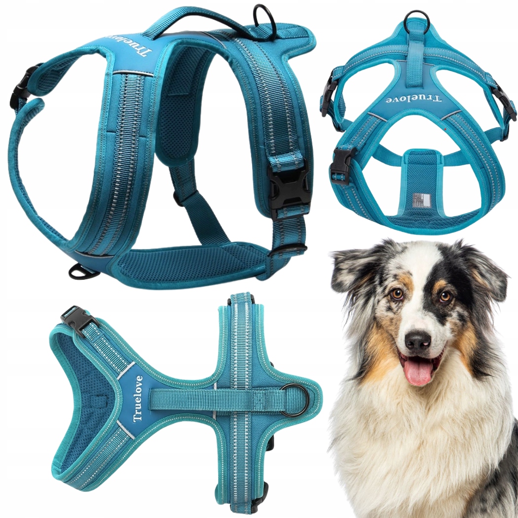Levně Obojky Pro Psa Easy Walk Silné S Rukojetí Truelove Security Modré L