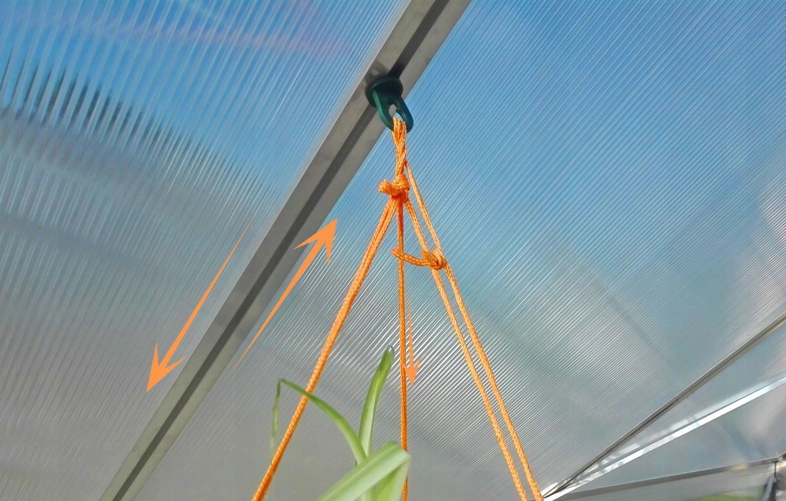 UCHWYTY WIESZAKI ZACZEPY DO ROŚLIN DO SZKLARNI PALRAM VITAVIA Producent inna