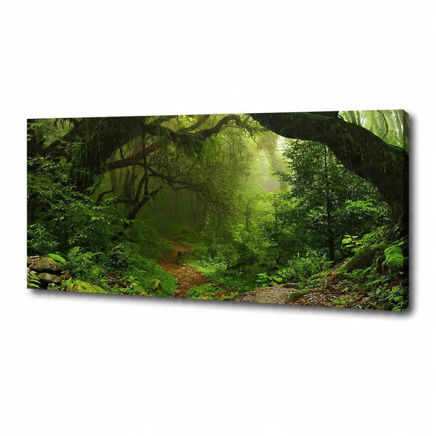 

Foto obraz na płótnie Dżungla w Nepalu 125x50 cm