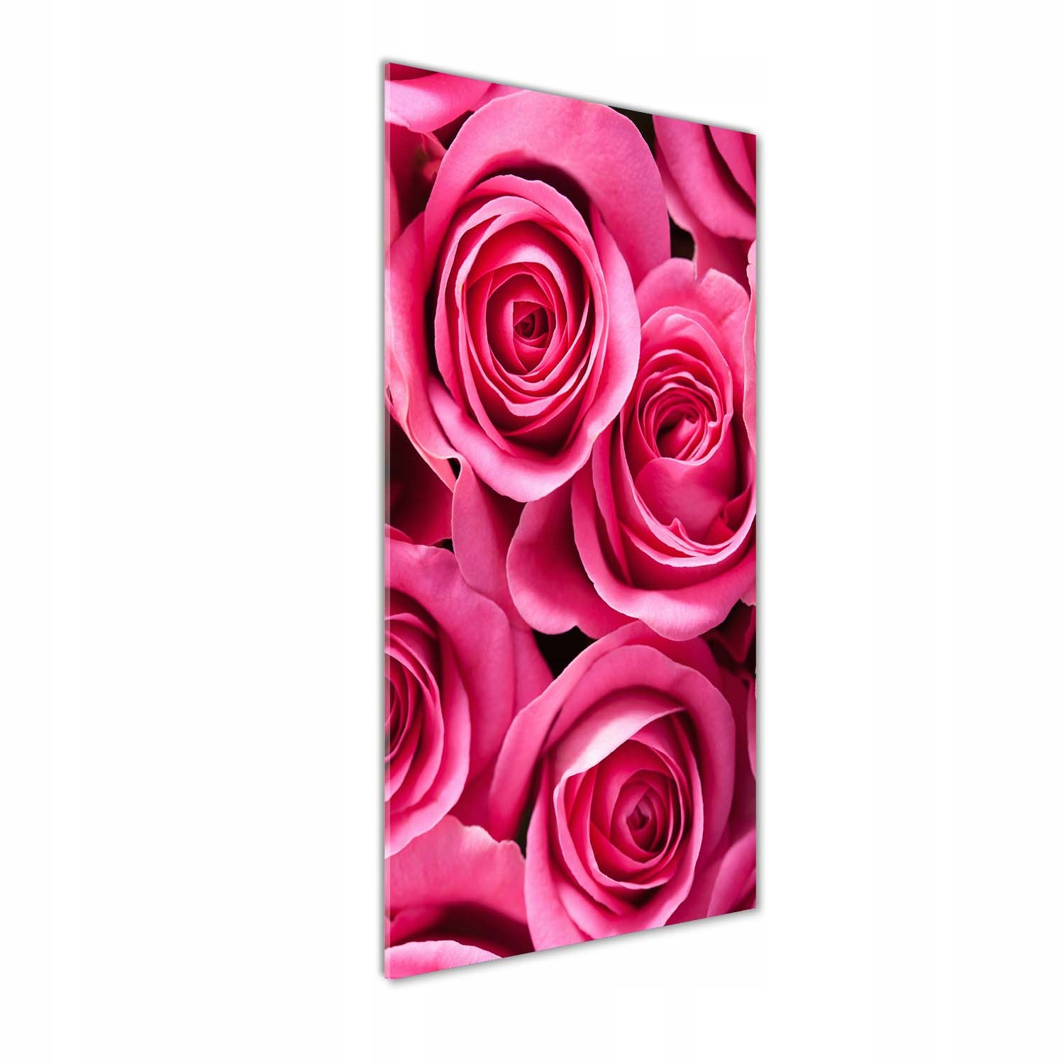 

Nowoczesny fotoobraz akrylowy Różowe róże 50x125cm
