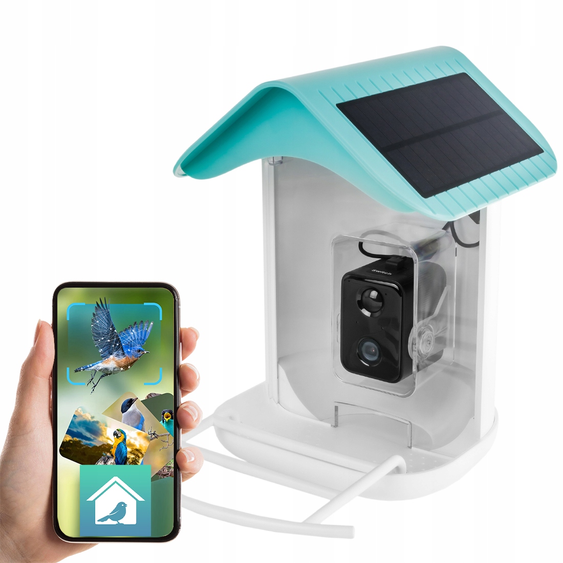 Ekologiczny Karmnik dla Ptaków z Kamerą WiFi Aplikacja Rozpoznawanie Ai