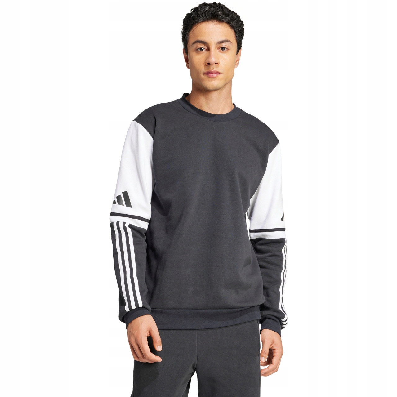 Pánská mikina adidas Squadra 25 Sweat Crew černá JE2780 Vel. XL