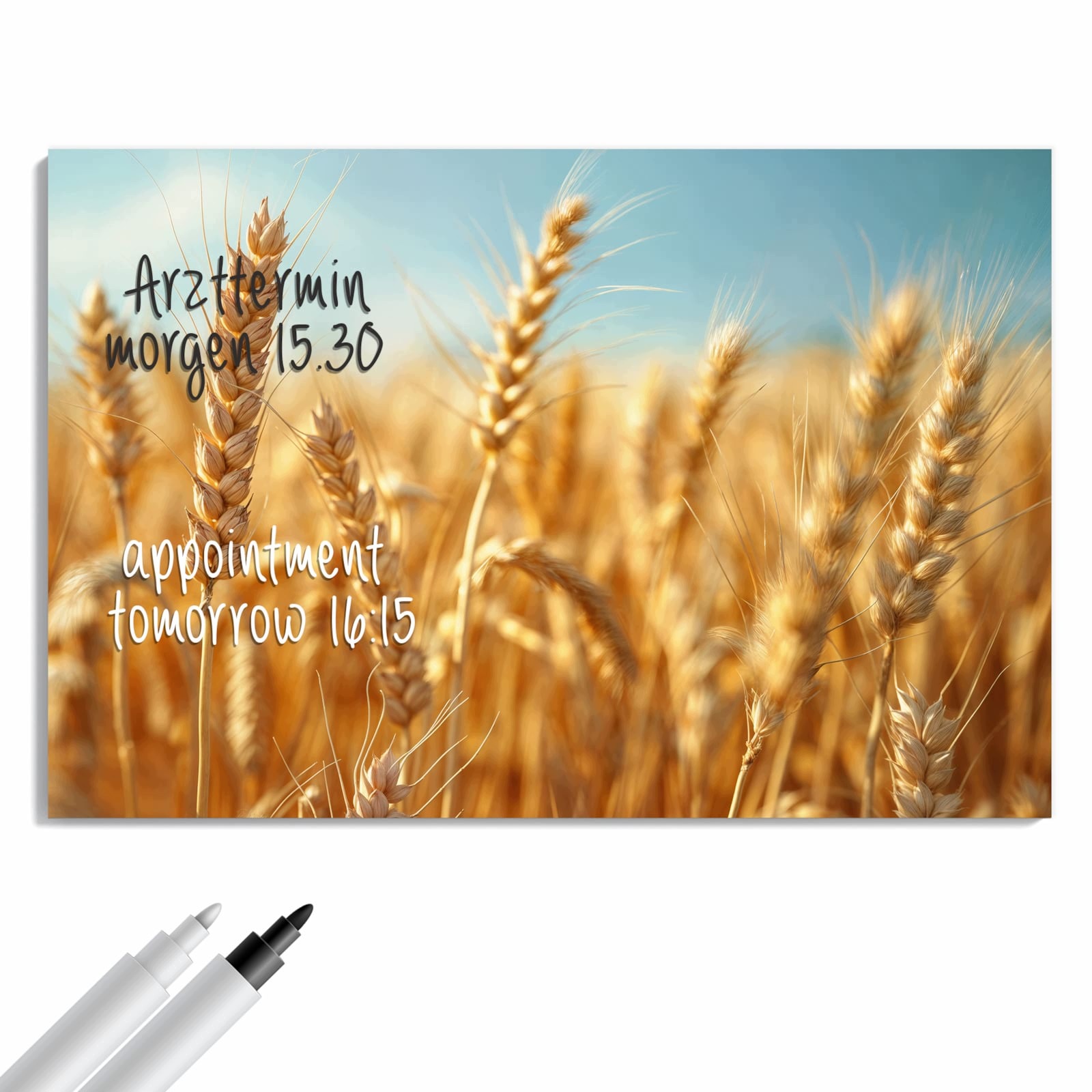 Magnetická tabule Jemné Pole pšenice 60 × 40 cm