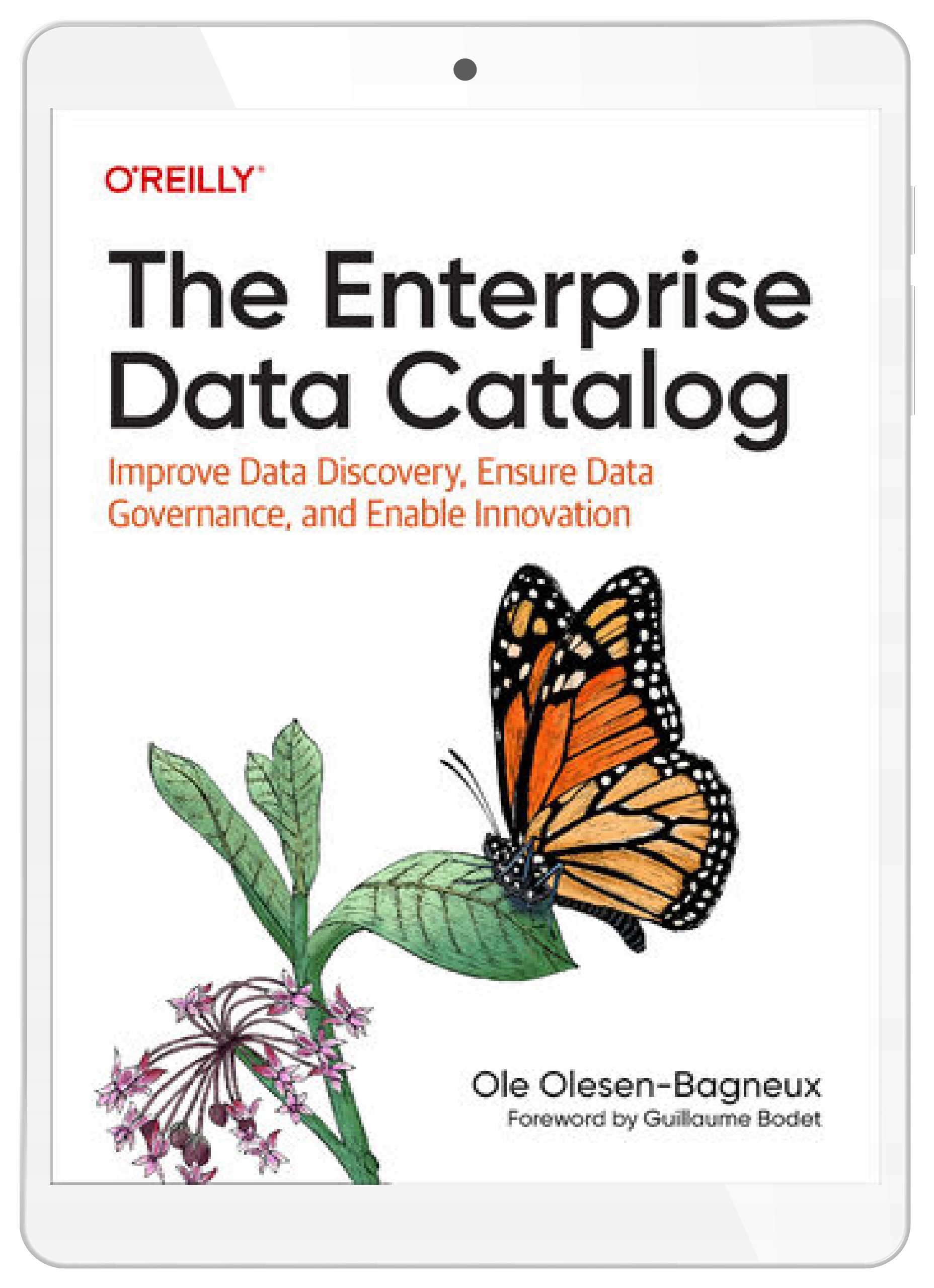 The Enterprise Data Catalog