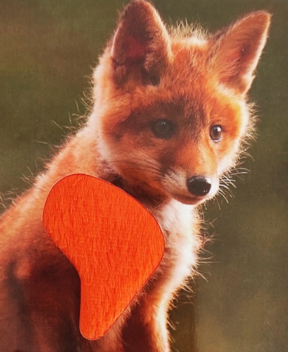 KSIĄŻKA PRZYTUL MNIE LAS FUTERKO SENSORYCZNA Marka inna