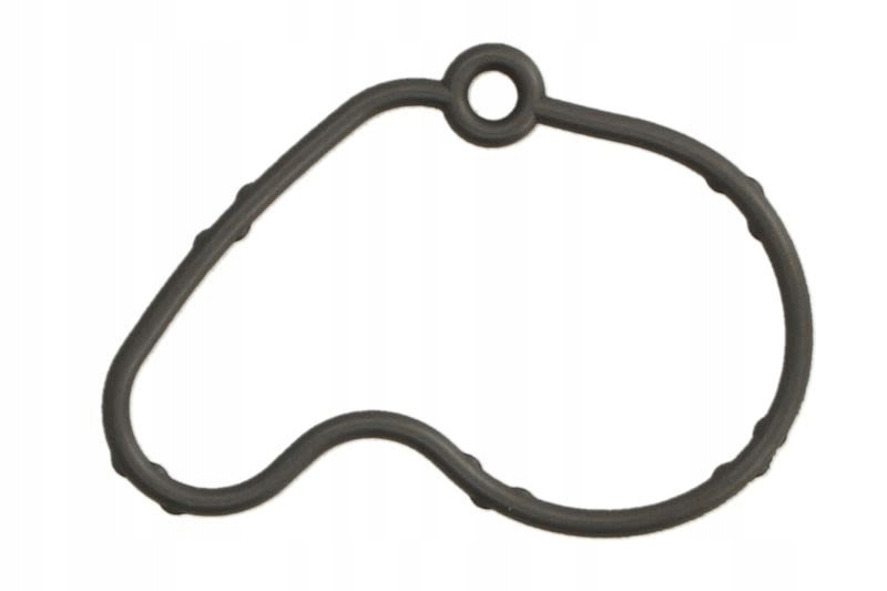 

Elring Uszczelka pompa podcisnieniowa 717.220 4041