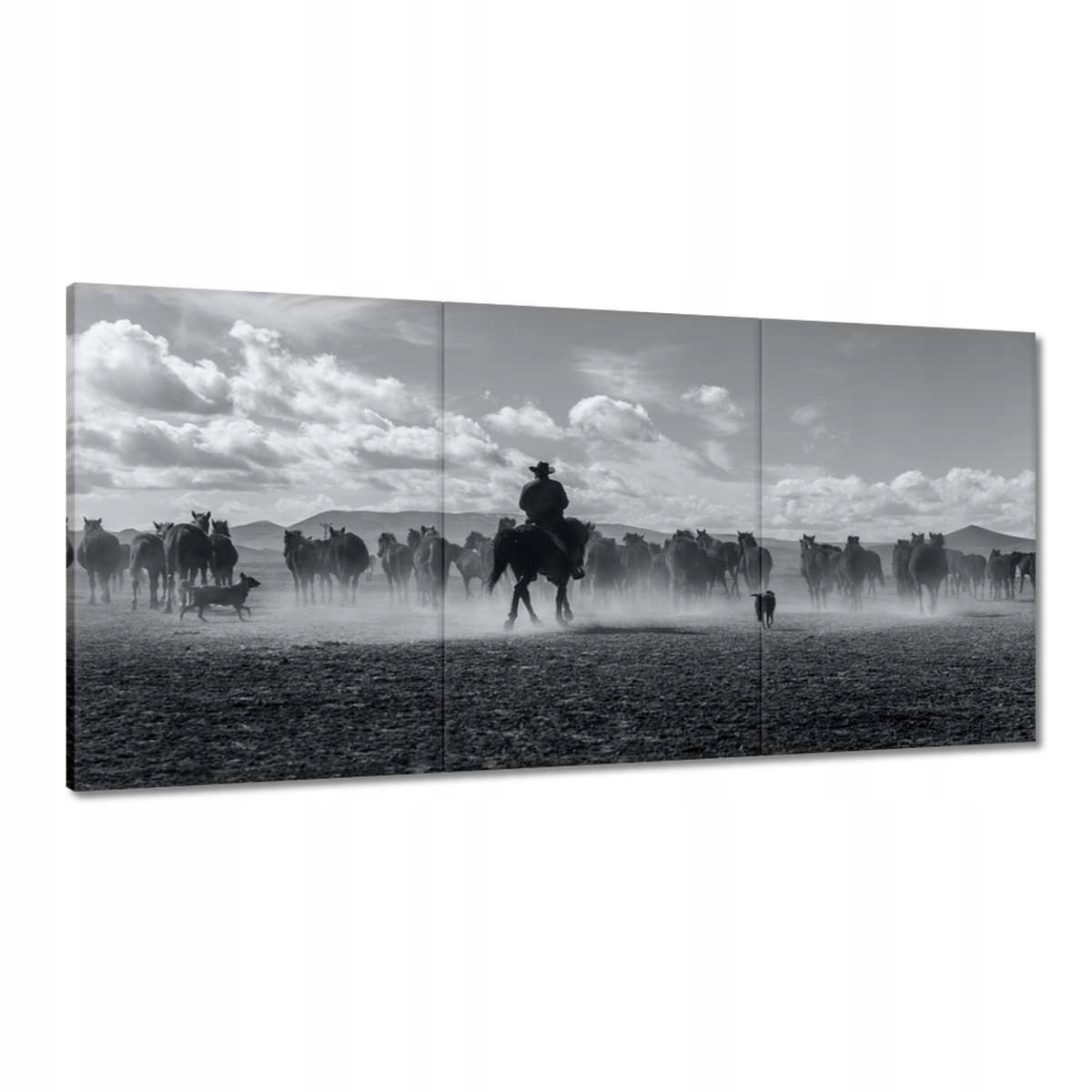 Obrazy 180x90 CowBoy na koni Kone