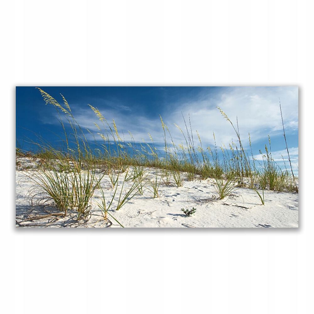 

Obraz akrylowy z nadrukiem 120x60 Plaża Krajobraz