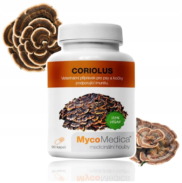 MycoMedica Wrośniak Różnobarwny 90 kaps. Coriolus 40% Polisacharydów