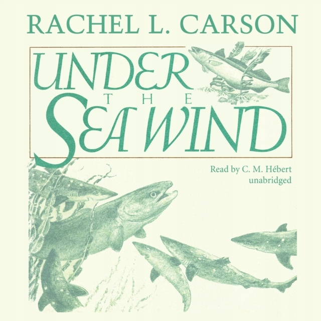 Under the Sea Wind - Carson, Rachel L. AUDIOBOOK