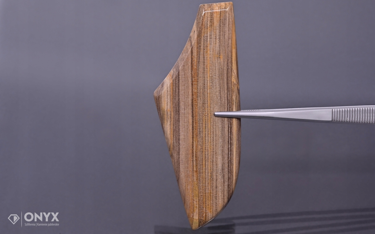 Dřevo zkamenělé konvexní nepravidelná dlažba 90x34 mm