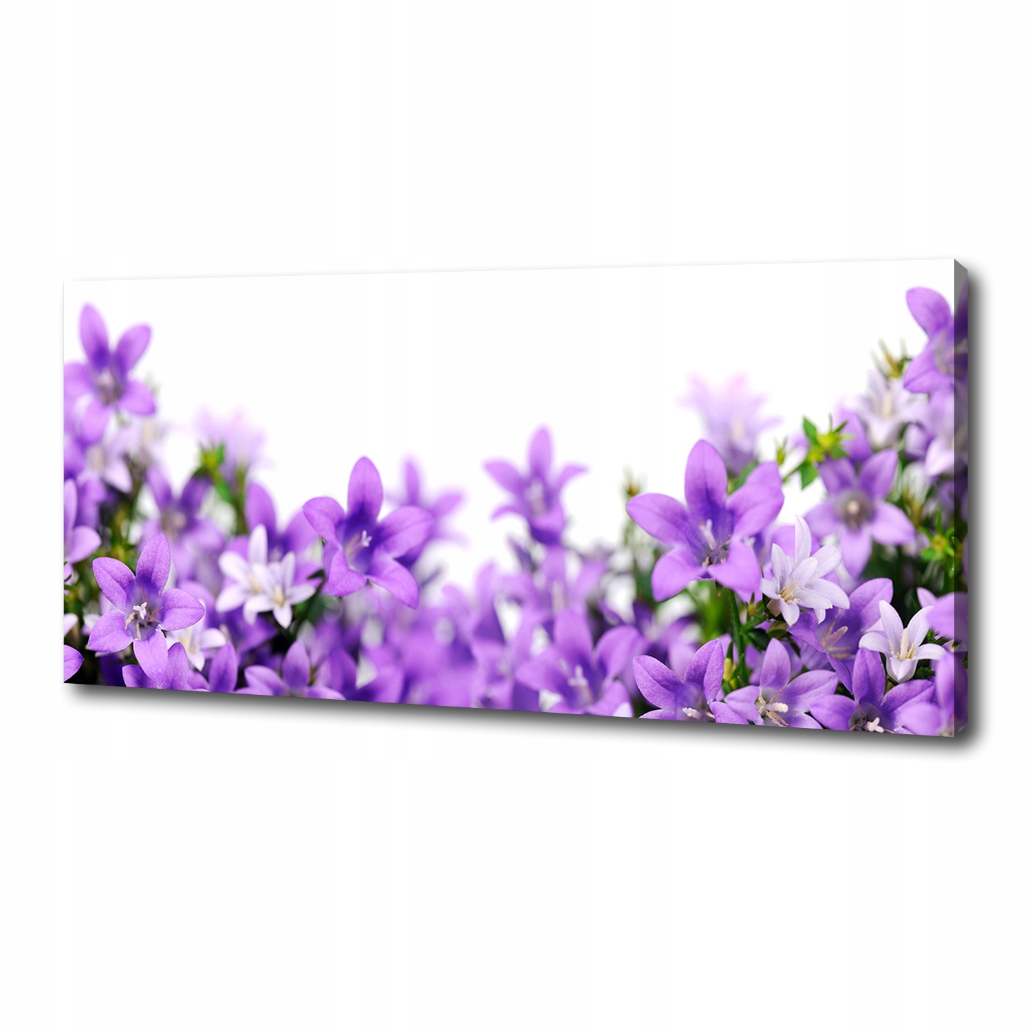 

Foto obraz na płótnie Fioletowe dzwonki 125x50 cm