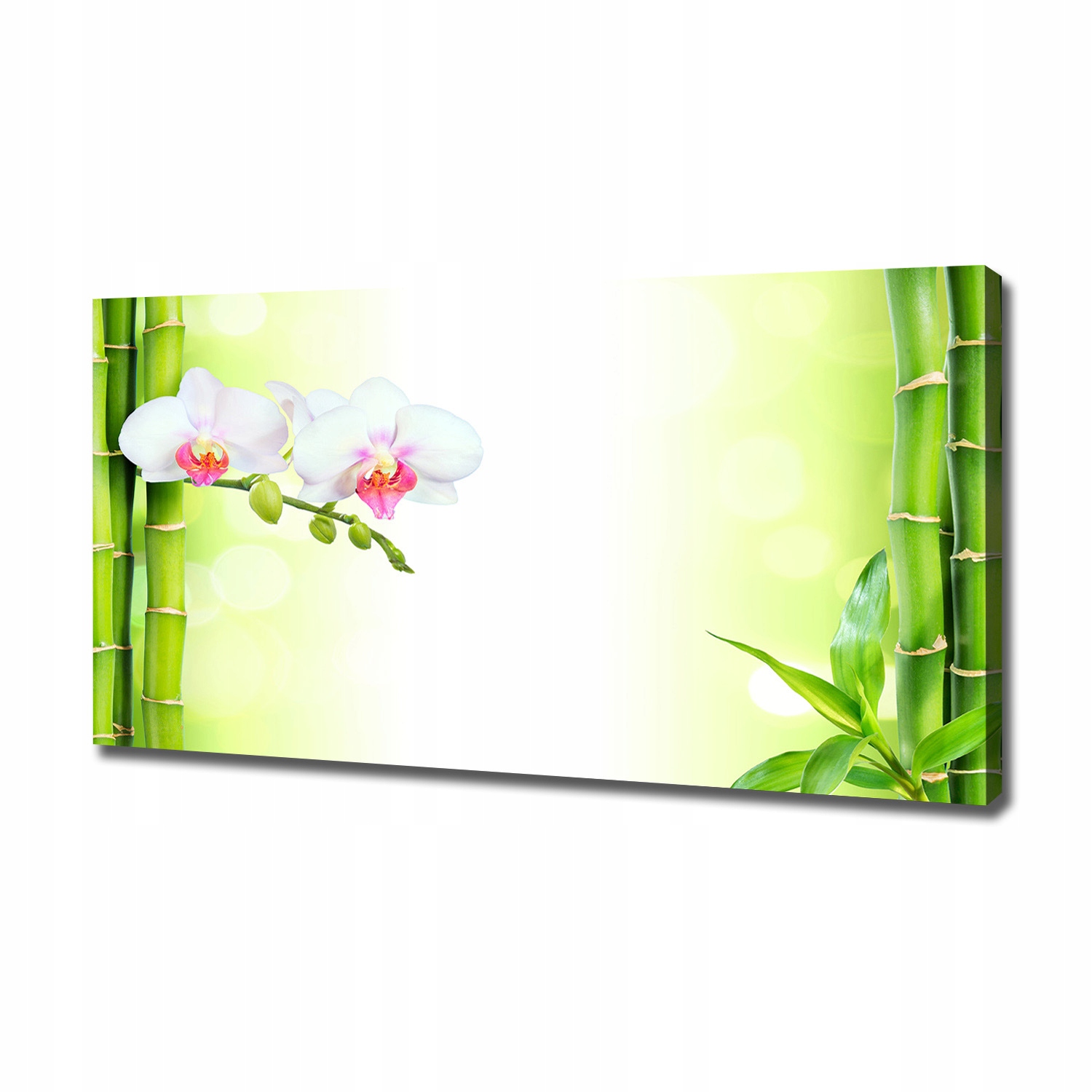 

Foto obraz na płótnie Orchidea i bambus 120x60 cm