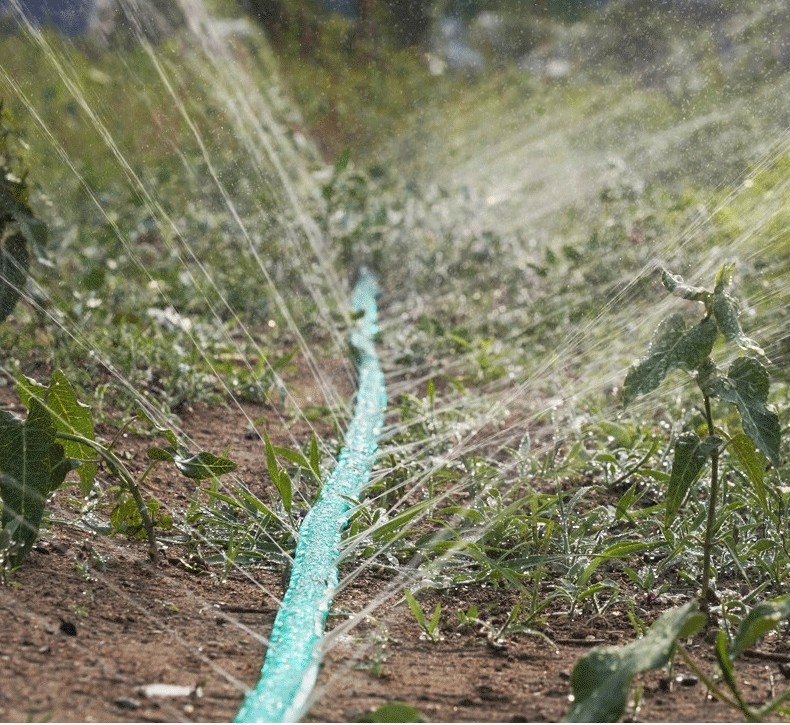 10 m WĄŻ OGRODOWY ZRASZAJĄCY LINIA KROPLUJĄCA Marka Shopek