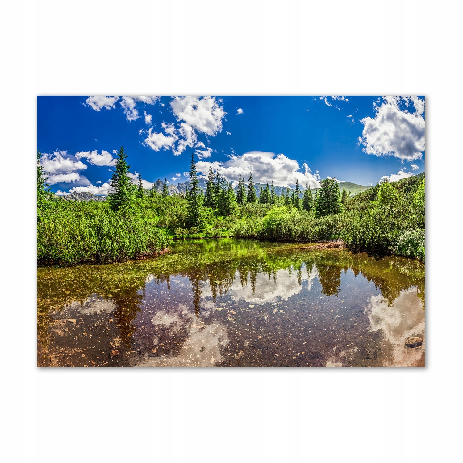 

Foto obraz szkło akryl Jezioro w lesie 100x70cm