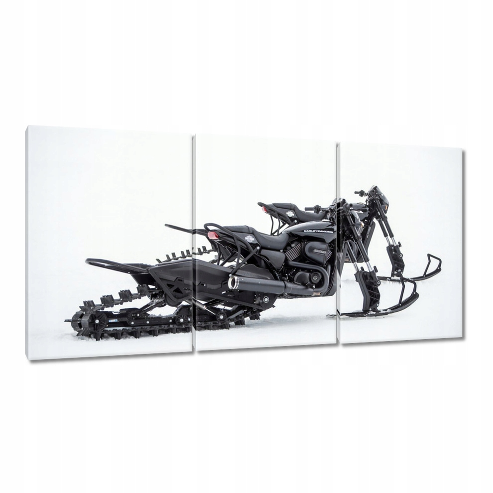 

Obrazy 120x60 Harley Davidson Motocykl