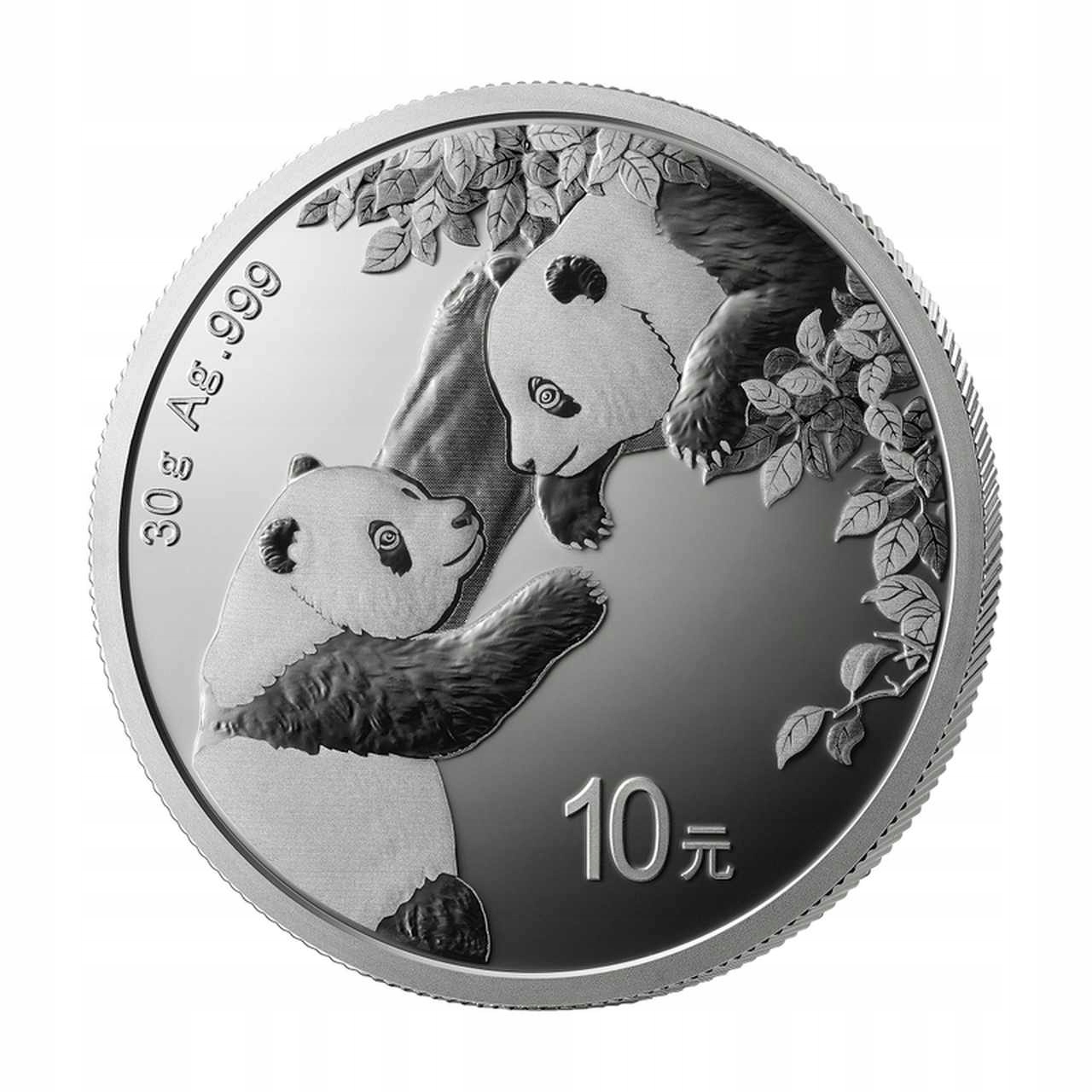

Chińska Panda 30 g Srebra 2023