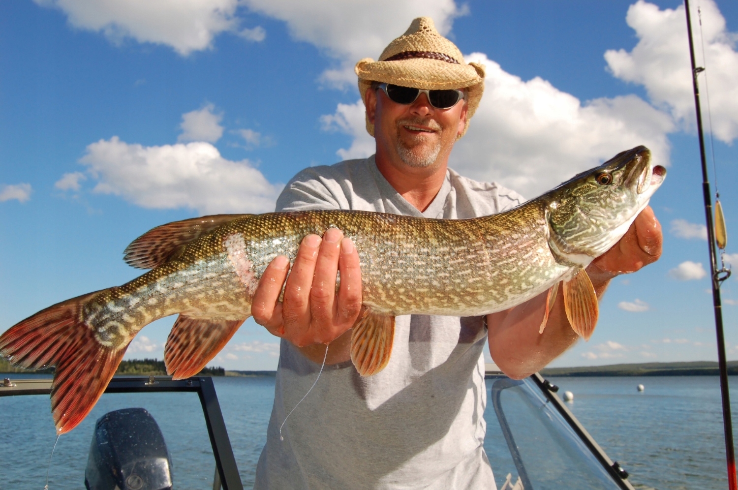 PRZYPONY WOLFRAMOWE NA SZCZUPAKA PRZYPON WOLFRAMOWY 20cm 10 szt Model WOLFRAMY 10 SZT.