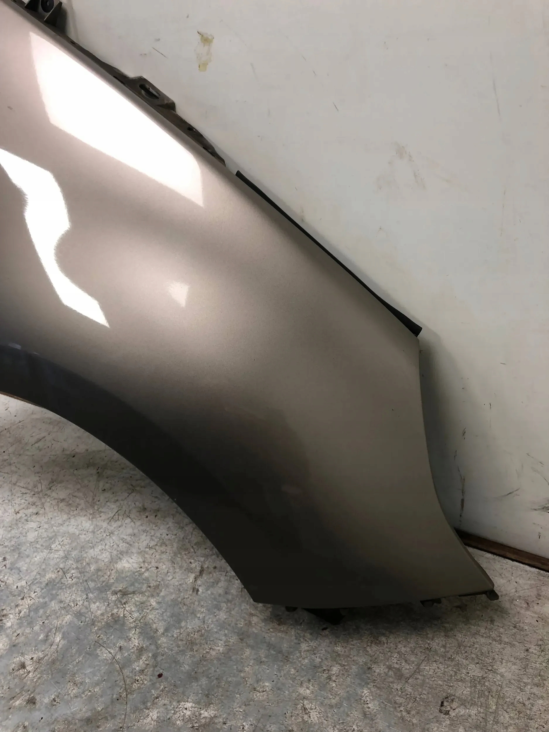 fender right front RENAULT SCENIC III TEHNK