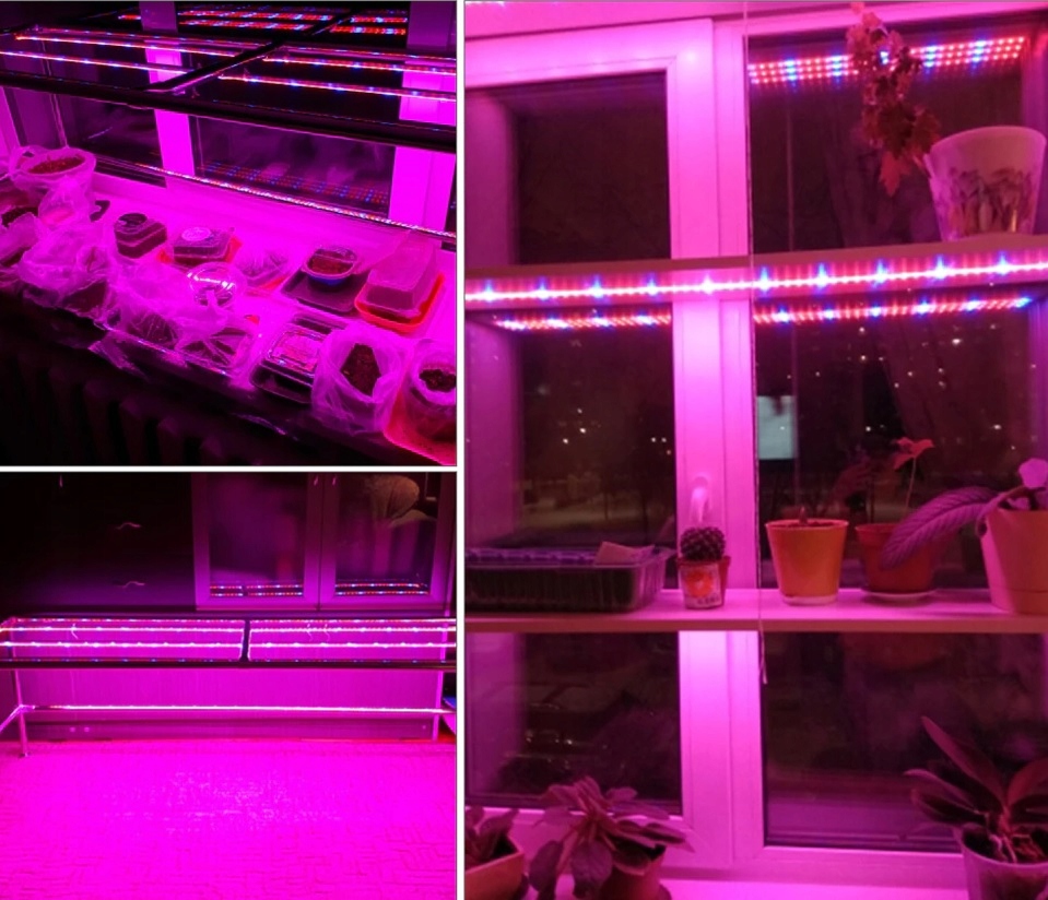 ZESTAW LED GROW DO REGAŁU IP65 ROŚLINY 4X120 CM Marka Epistar