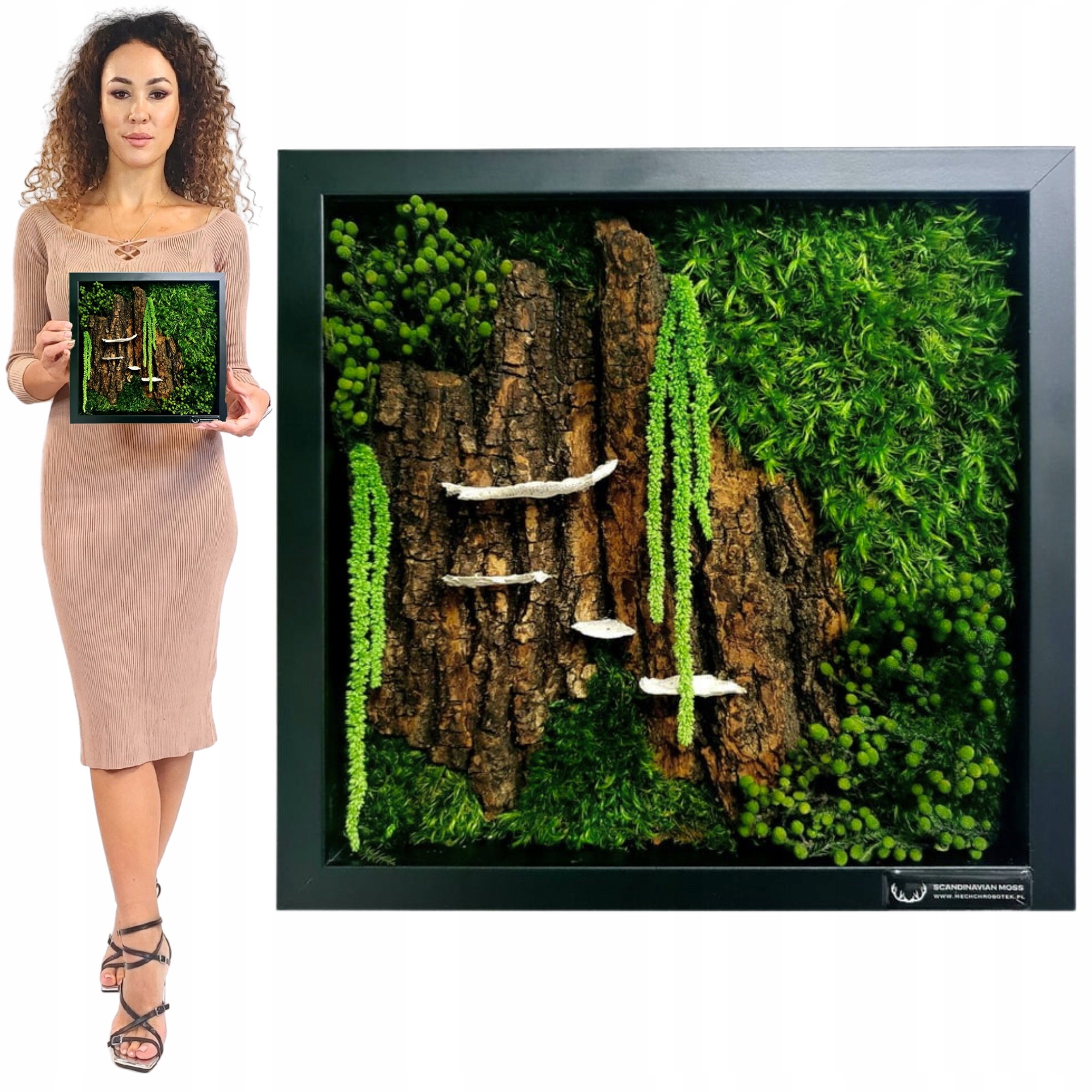 Obraz Z Mechu v dřevěném rámu 27x27 cm mech chrobotek Živý Obraz ručně vyrobený