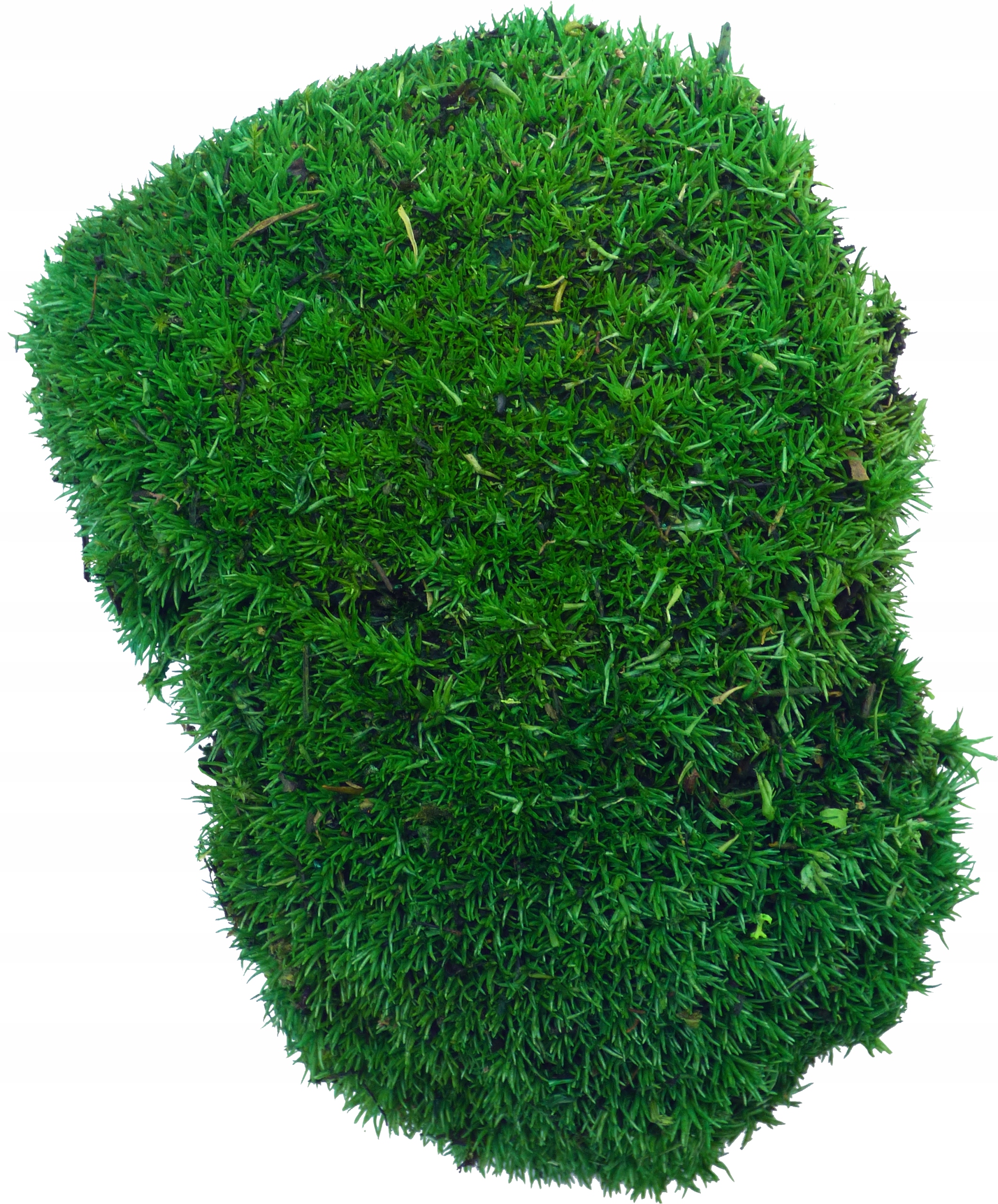 

Mech Poduszkowy Dark Green Premium Kępka 10-12cm