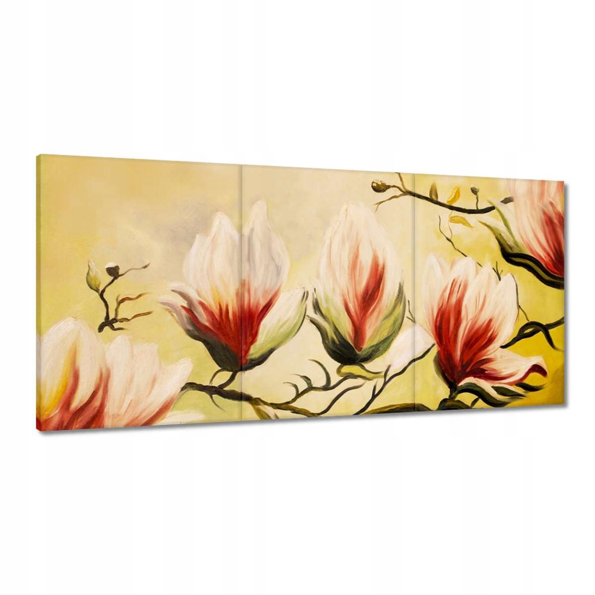 Obrazy 180x90 Magnolie