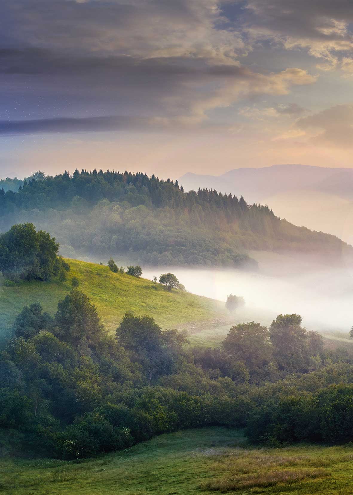 

Plakat Plakaty do ramki Seria Księżyc Słońce 50x70