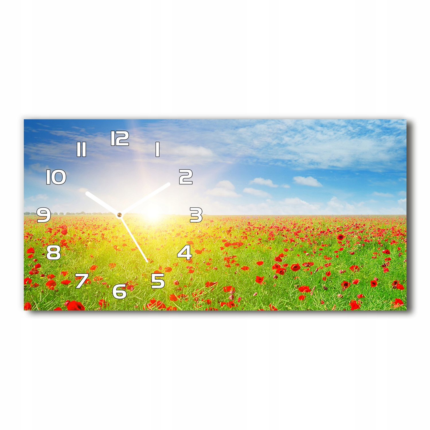

Nowoczesny zegar ścienny, szklany Pole maków 60x30