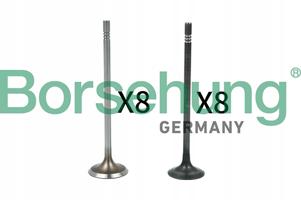 B18631 - ВИХЛОПНІ ВСМОКТУВАЛЬНІ КЛАПАНИ KPL BORSEHUNG